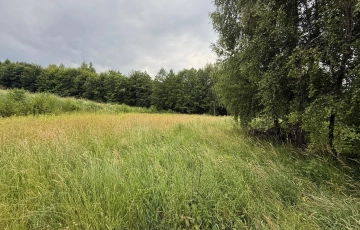 Zdjęcie główne ogłoszenia Działka budowlana w Pawlikowicach na sprzedaż!