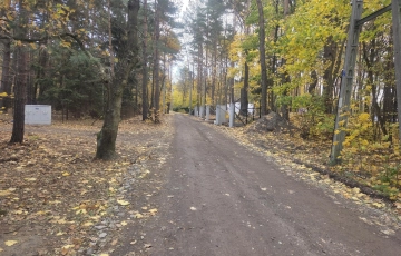 Zdjęcie główne ogłoszenia nieduża przy Klonowej, media, drzewa, lokalizacja