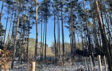 Zdjęcie główne ogłoszenia Działka róg Wolęcińskiej/Marty, Warszawa Radość