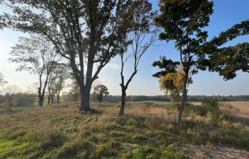 Zdjęcie główne ogłoszenia Działka rolna we wsi Nejdyki - 7 km od Iławy