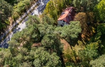 Zdjęcie główne ogłoszenia Duża działka ze starodrzewiem i domem w Józefowie