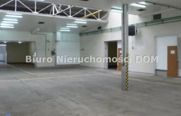Zdjęcie główne ogłoszenia hala do wynajęcia
