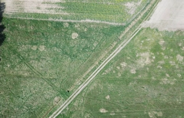 Zdjęcie główne ogłoszenia Działka Rolna (3000 m2) 2 km od Wrocławia (Pruszowice)