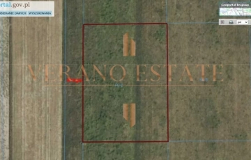 Zdjęcie główne ogłoszenia Działka rolna | 3000 m2 | cena do negocjacji