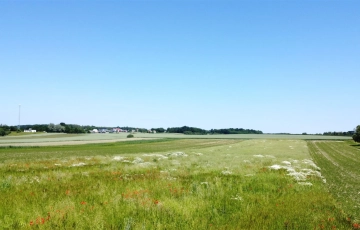 Zdjęcie główne ogłoszenia Kliknij mnie :))