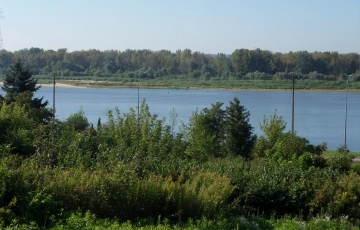 Zdjęcie główne ogłoszenia Sprzedam zieloną działkę z widokiem na rezerwat ptactwa w Płocku nad  Wisłą
