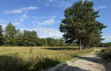 Zdjęcie główne ogłoszenia Działki budowlane Piskórka