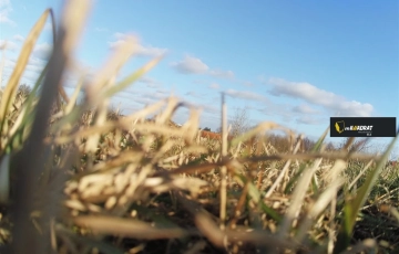 Zdjęcie główne ogłoszenia Działka, Drygały