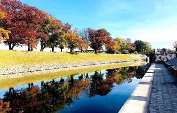 Zdjęcie główne ogłoszenia 2pok, 48met, al. Marcina Kromera PIWNICA/PARKING (Wrocław)
