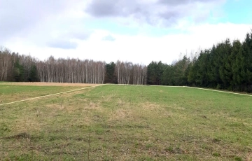Zdjęcie główne ogłoszenia 2 działki, przy lesie, blisko Hańczy.