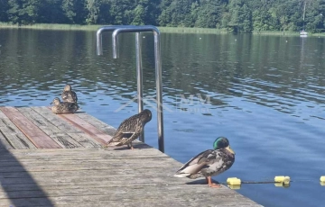 Zdjęcie główne ogłoszenia Działka nad jeziorem Ruda Woda- Wilamowo.