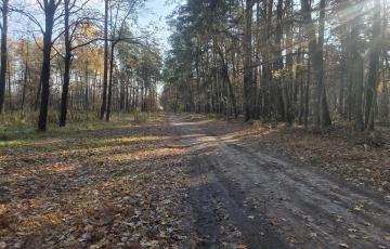 Zdjęcie główne ogłoszenia pod produkcję, magazyny lub usługi