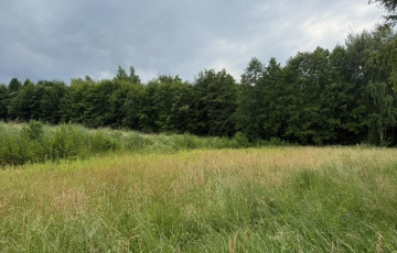 Zdjęcie główne ogłoszenia Działka budowlana w Pawlikowicach na sprzedaż!