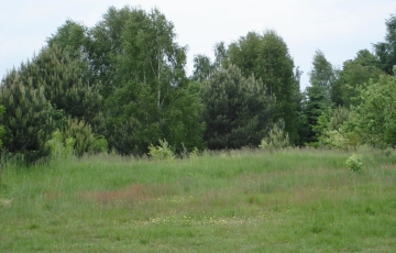 Zdjęcie główne ogłoszenia OKAZJA sprzedam działkę inwestycyjna - Wiewiorczyn