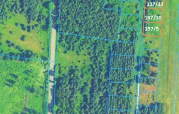 Zdjęcie główne ogłoszenia 25 km od Kielc, uzbrojona, w otoczeniu lasów