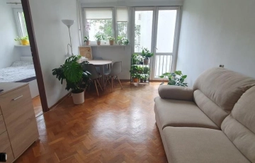 Zdjęcie główne ogłoszenia 2pok, 38met, Okolice Lwowskiej BALKON/PIWNICA (Wrocław)