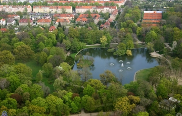 Zdjęcie główne ogłoszenia 1pok, 30met, Okolice Lipowej PIWNICA/STRYCH/PARKING (Wrocław)