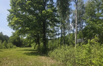 Zdjęcie główne ogłoszenia na końcu zamkniętej uliczki, za działką las, wz