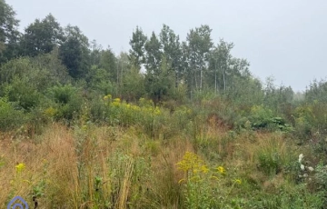 Zdjęcie główne ogłoszenia Działka budowlana o pow. 1474 m2 Kady Brzózki