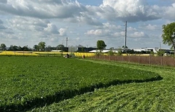 Zdjęcie główne ogłoszenia Działka budowlana (3000 m2) MEDIA (Żórawina)