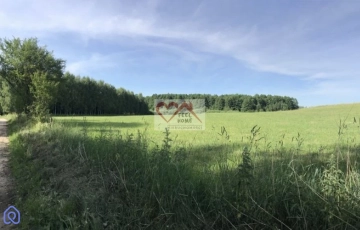 Zdjęcie główne ogłoszenia MICHAŁKI - DZIAŁKI Z WARUNKAMI ZABUDOWY NAD JEZIOR