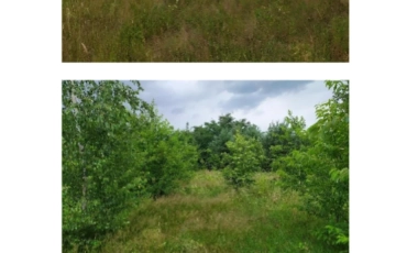 Zdjęcie główne ogłoszenia Udział 1/2 w nieruchomości gruntowej niezabudowanej Dębowa Góra