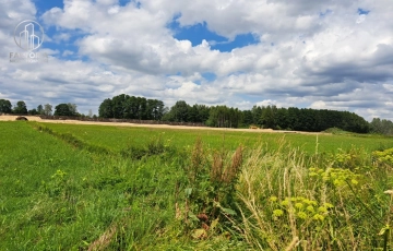 Zdjęcie główne ogłoszenia Działki w Dobrzyniewie!