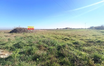 Zdjęcie główne ogłoszenia Połączenie terenów zielonych z świetną komunikacją