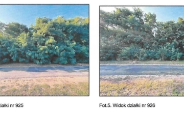 Zdjęcie główne ogłoszenia Syndyk sprzeda udziały 1/2 w prawie użytkowania wieczystego Pęczniew