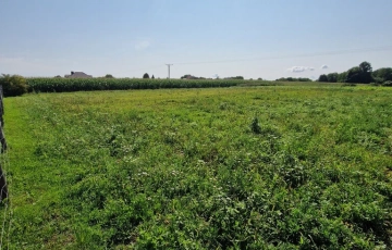 Zdjęcie główne ogłoszenia Działka z wz-tką Hebdów 18,8ara Nowe Brzesko