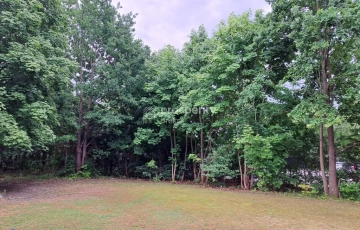 Zdjęcie główne ogłoszenia Działka inwestycyjna 4800 m2 z domem BEZ PROWIZJI