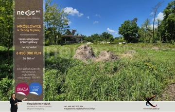 Zdjęcie główne ogłoszenia Nieruchomość usługowa zabudowana - w cenie gruntu