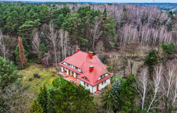 Zdjęcie główne ogłoszenia Strzeniówka 7000 m2 gruntu do własnej aranżacji.