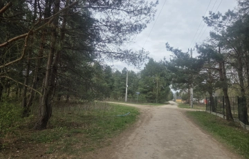 Zdjęcie główne ogłoszenia Złota, wz 5 domów jedno lub dwulokalowych, media