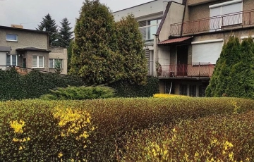 Zdjęcie główne ogłoszenia Dom idealny dla dwóch rodzin