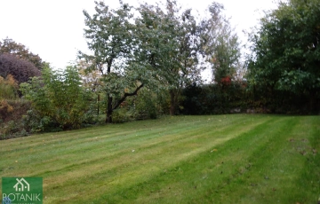 Zdjęcie główne ogłoszenia Majdan Krasieniński