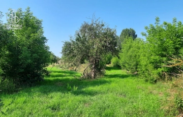 Zdjęcie główne ogłoszenia Duża działka budowlana w Boguszewie