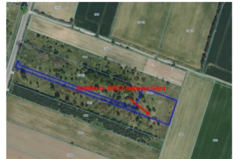 Zdjęcie główne ogłoszenia Udział 1/2 w nieruchomości gruntowej niezabudowanej Dębowa Góra