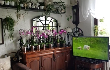 Zdjęcie główne ogłoszenia 1pok, 33met, Okolice Lelewela BALKON/PIWNICA/PARKING (Wrocław)