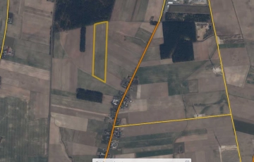 Zdjęcie główne ogłoszenia Ziemia rolna w okolicach Chojnic, 8,81 ha