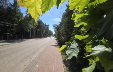 Zdjęcie główne ogłoszenia przy Duchnowskiej pod rezydencję lub dwa lokale