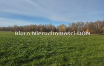 Zdjęcie główne ogłoszenia Sprzedam działkę zadrzewioną w gm Mykanw