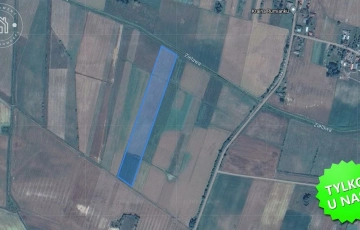 Zdjęcie główne ogłoszenia Hołowno, gmina Podedwórze, działka rolna 4,07 ha