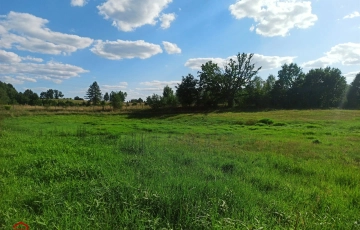 Zdjęcie główne ogłoszenia Działka, Zwierzewo
