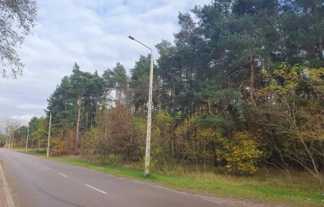 Zdjęcie główne ogłoszenia centrum, las, media, dwie do wyboru