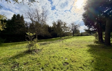 Zdjęcie główne ogłoszenia ➡️Media➡️Centrum➡️Mieszkaniowo-usługowa➡️Droga➡️Bl