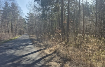 Zdjęcie główne ogłoszenia prywatny las, wz - dom jednorodzinny, droga gminna
