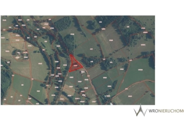 Zdjęcie główne ogłoszenia Dworki, gm. Nowa Ruda, działka z WZ, 5000m2