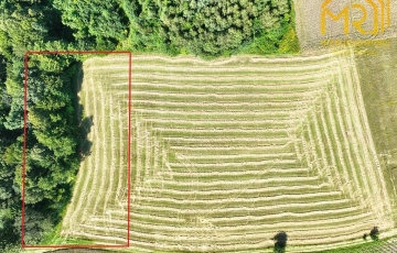 Zdjęcie główne ogłoszenia Działka rolna 0,33 ha w gminie Ryglice