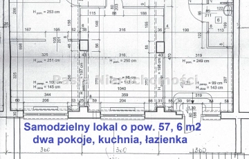 Zdjęcie główne ogłoszenia Mieszkanie trzypokojowe w suterenie, Płock